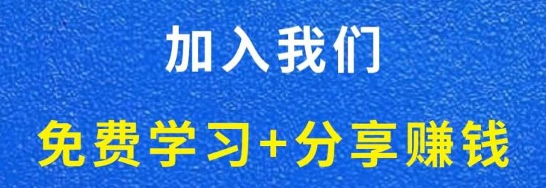 白菜价解锁20000+N个赚钱机会，加入轻创终点站会员，全站资源免费学习。-积流资源站