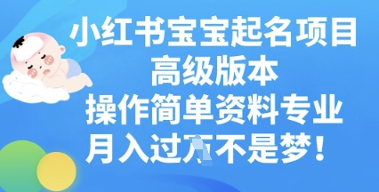 小红书宝宝起名项目高级版本,操作简单,资料专业,月入过W-积流资源站