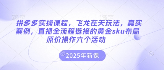 拼多多实操课程,飞龙在天玩法,真实案例,直播全流程链接的黄金sku布局原价操作六个活动-积流资源站