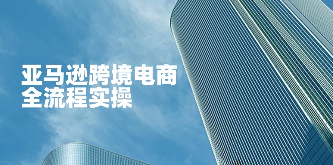 (14252期)亚马逊跨境电商全流程实操,教你从零开始,掌握店铺运营与广告技巧-积流资源站
