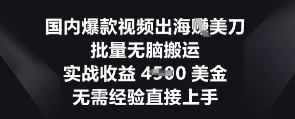 国内爆款视频出海挣美刀，批量无脑搬运，实战收益4.5k，无需经验直接上手-积流资源站