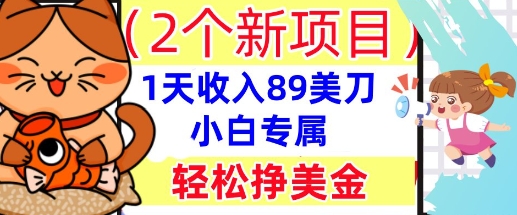 2个新项目,轻松挣美金, 1天收入89美刀,小白专属,干货分享-积流资源站