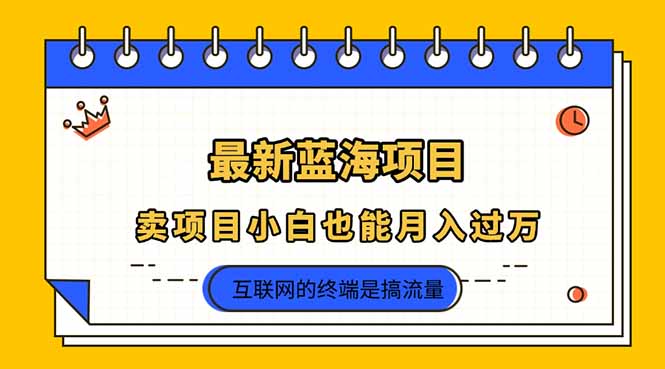 (14289期)2025年最新蓝海项目,卖项目小白也能月入过万-积流资源站