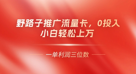 0门槛推广流量卡，一单收益上百，0投入，小白月入过W-积流资源站