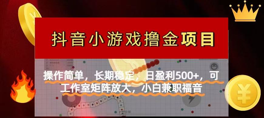 (14290期)【抖音小游戏发行人计划项目】操作简单,长期稳定,日盈利500+,可工作...-积流资源站