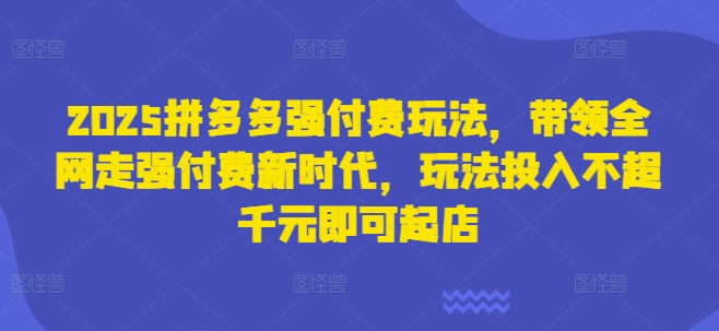 2025拼多多强付费玩法,带领全网走强付费新时代,玩法投入不超千元即可起店-积流资源站