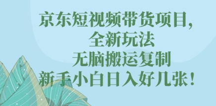 京东短视频带货项目，全新玩法，无脑搬运复制，新手小白日入好几张!-积流资源站