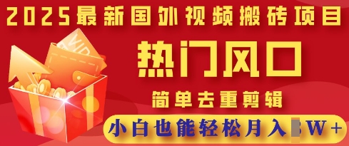 2025最新视频搬砖项目,热门风口,简单去重剪辑,小白也能轻松月入过W-积流资源站