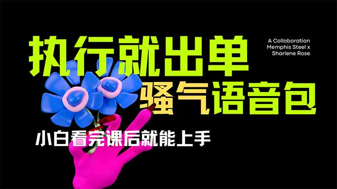 (14170期)爆火全网的开车导航骚气语音包,只要执行就出单,小白看完课程就能实操...-积流资源站