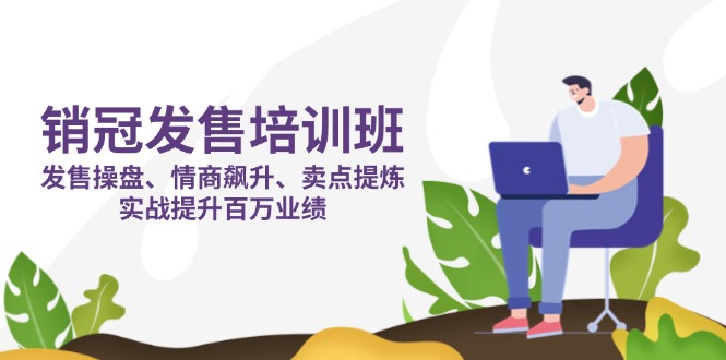 (14203期)销冠 发售培训班:发售 操盘+情商 飙升+卖点 提炼,实战提升百万业绩-积流资源站
