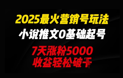 2025最火营销号玩法:小说推文0基础起号,7天涨粉5000,收益轻松破k-积流资源站