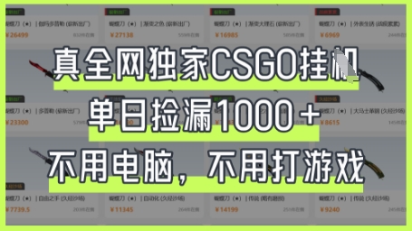 真全网独家CSGO挂G,单日捡漏1k+【揭秘】-积流资源站