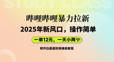 哔哩哔哩暴力拉新:2025年新风口,一单12元,一天数张(附开白渠道和保姆级教程)-积流资源站