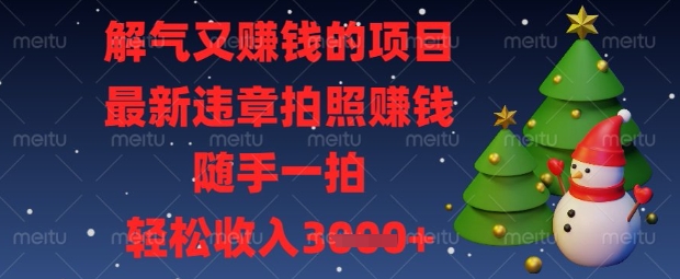 解气又挣钱的项目,最新违章拍照挣钱,随手一拍,轻松收入数张【揭秘】-积流资源站